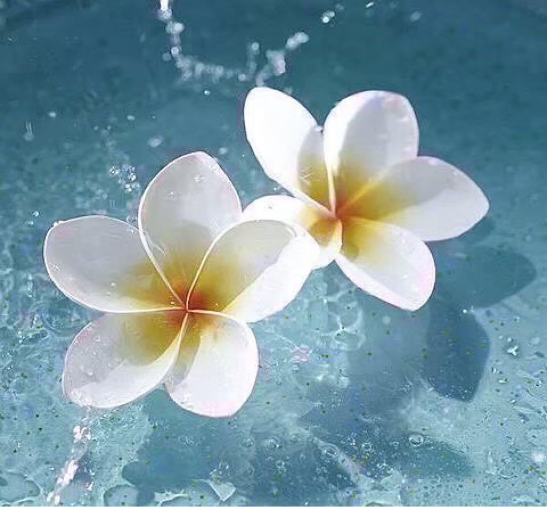 【 Kaoline様 ご相談用ページ 】