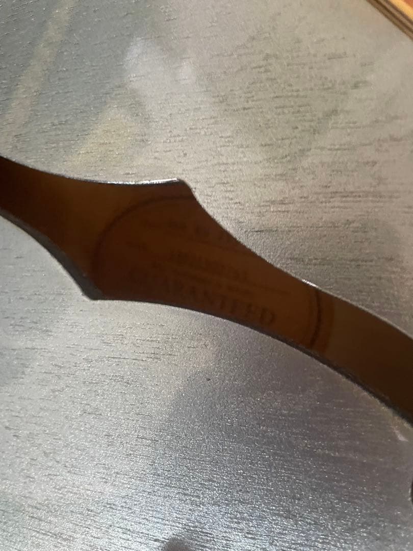 しろっぷEpiphone Dot ES-355 TE ギブソンレスポール