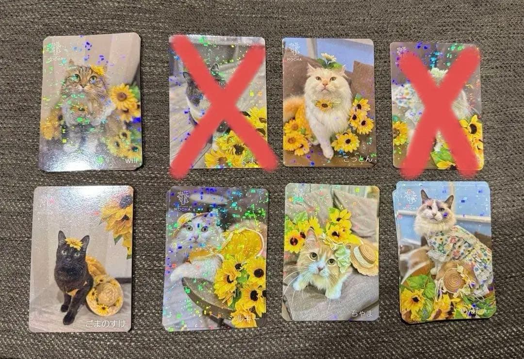 【バラ売り可】にゃんずトレカ立川店 2025