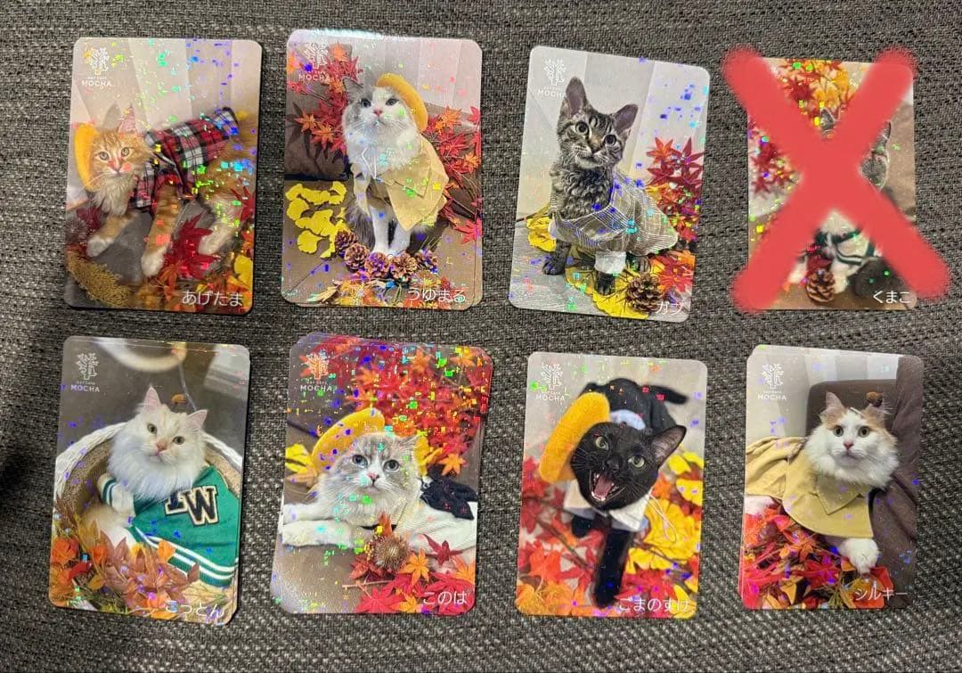 【バラ売り可】にゃんずトレカ立川店 2025