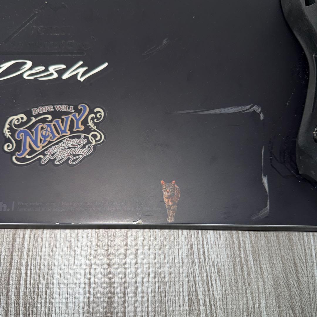 November DESIRE W 24/25モデル