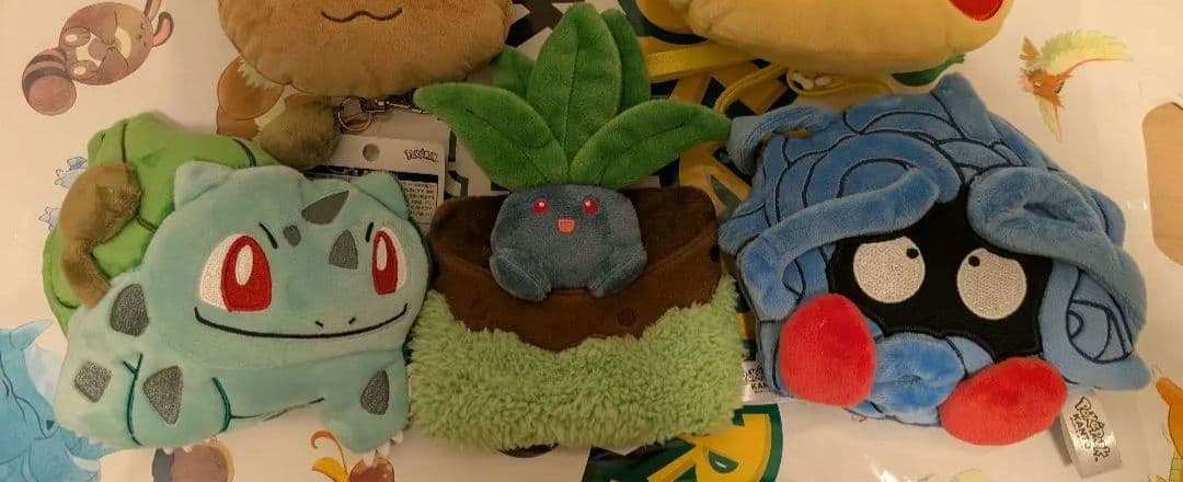 ポケパークカントー 限定 パスケース