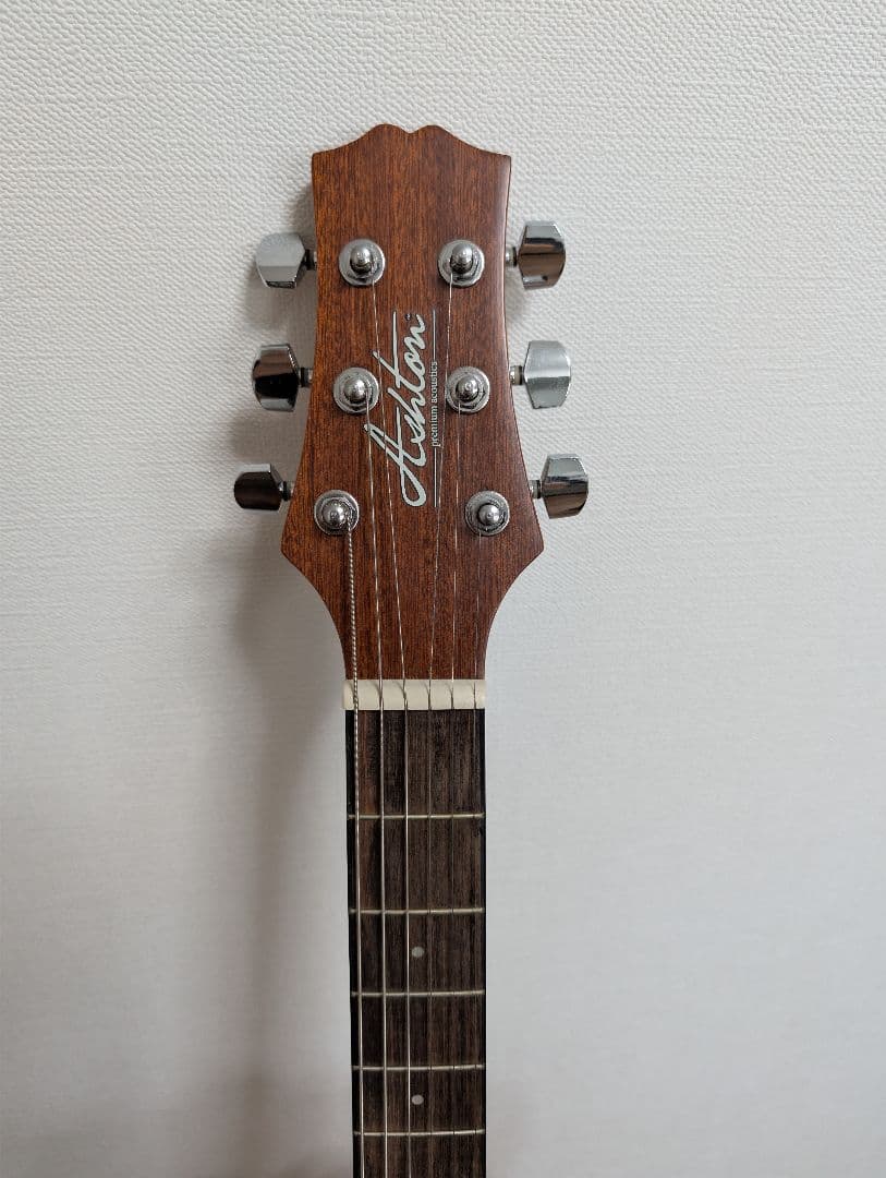 Ashton D20 アコースティックギター