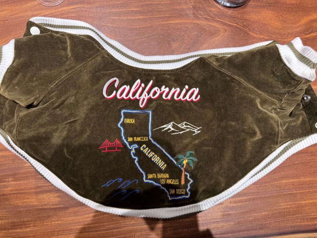 カリフォルニア刺繍犬服 Mサイズ 犬用スカジャン
