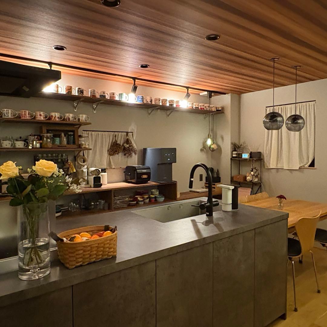 大光電機 LEDダクトレール用スポットライトDSL5237YB 4個セット