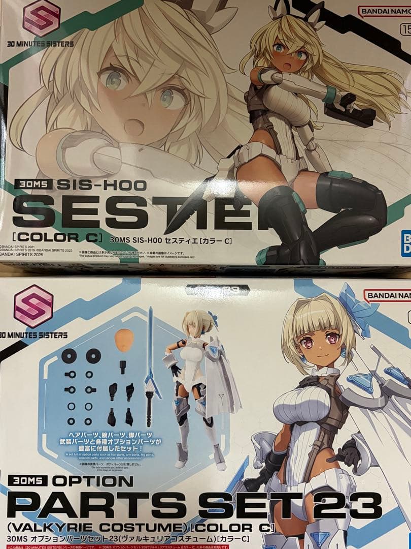 30MS セスティエ / ヴァルキュリアコスチューム 2点セット