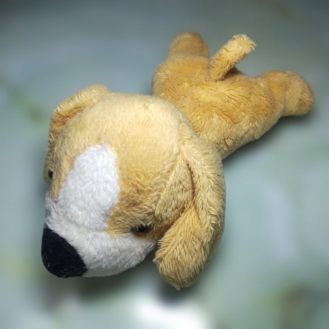 ぬいぐるみセット 多様な動物 16点