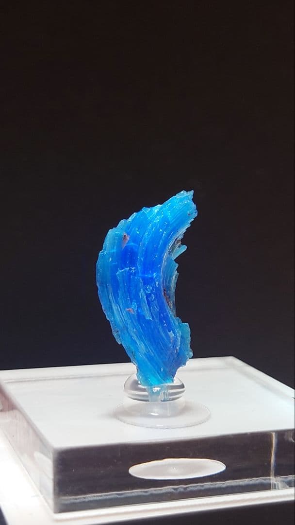 カルカンサイト 標本