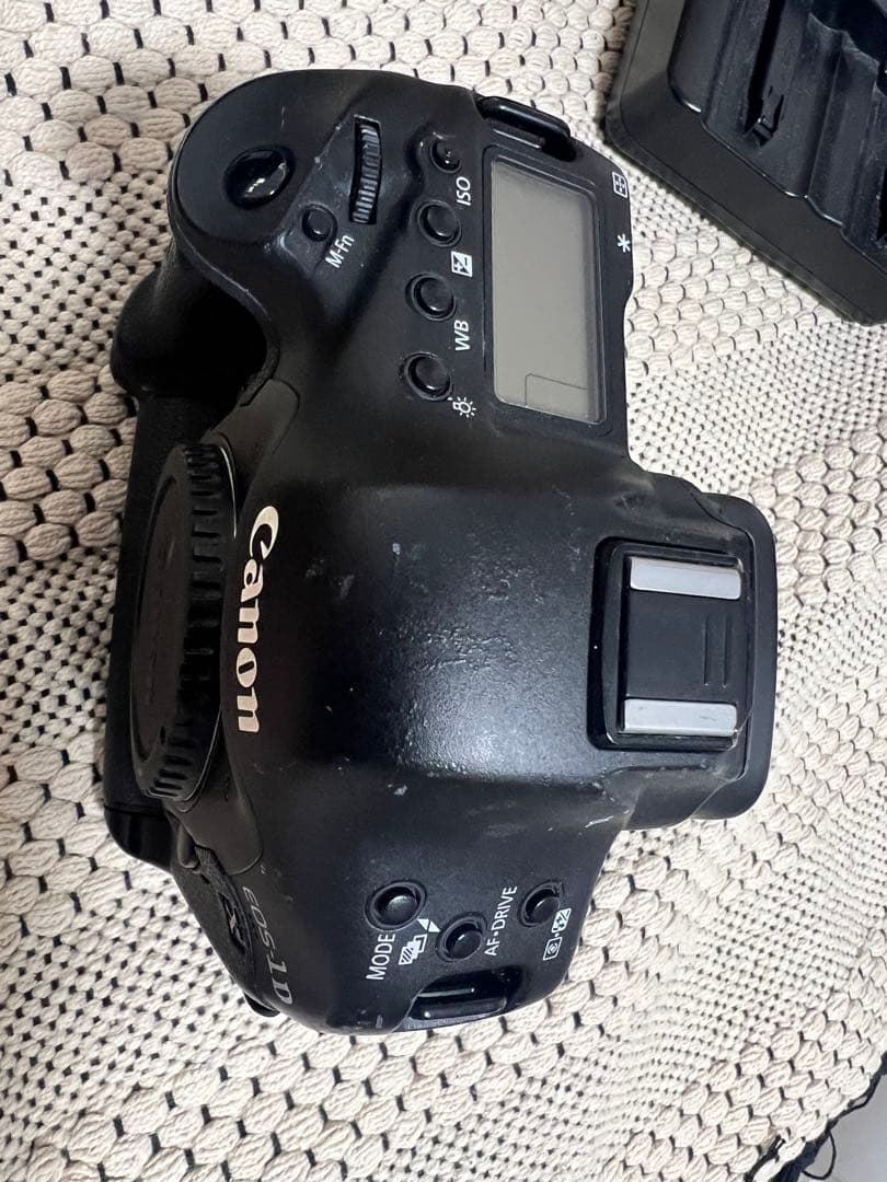 EOS 1DX ジャンク