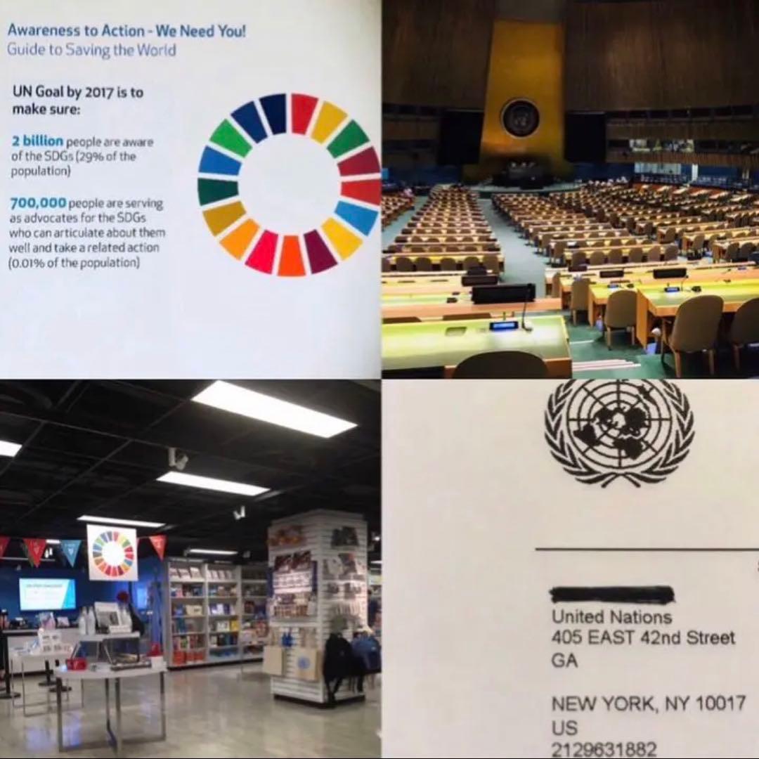 【特価セール】セット販売 SDGs ピンバッジ 【国連本部入手品】