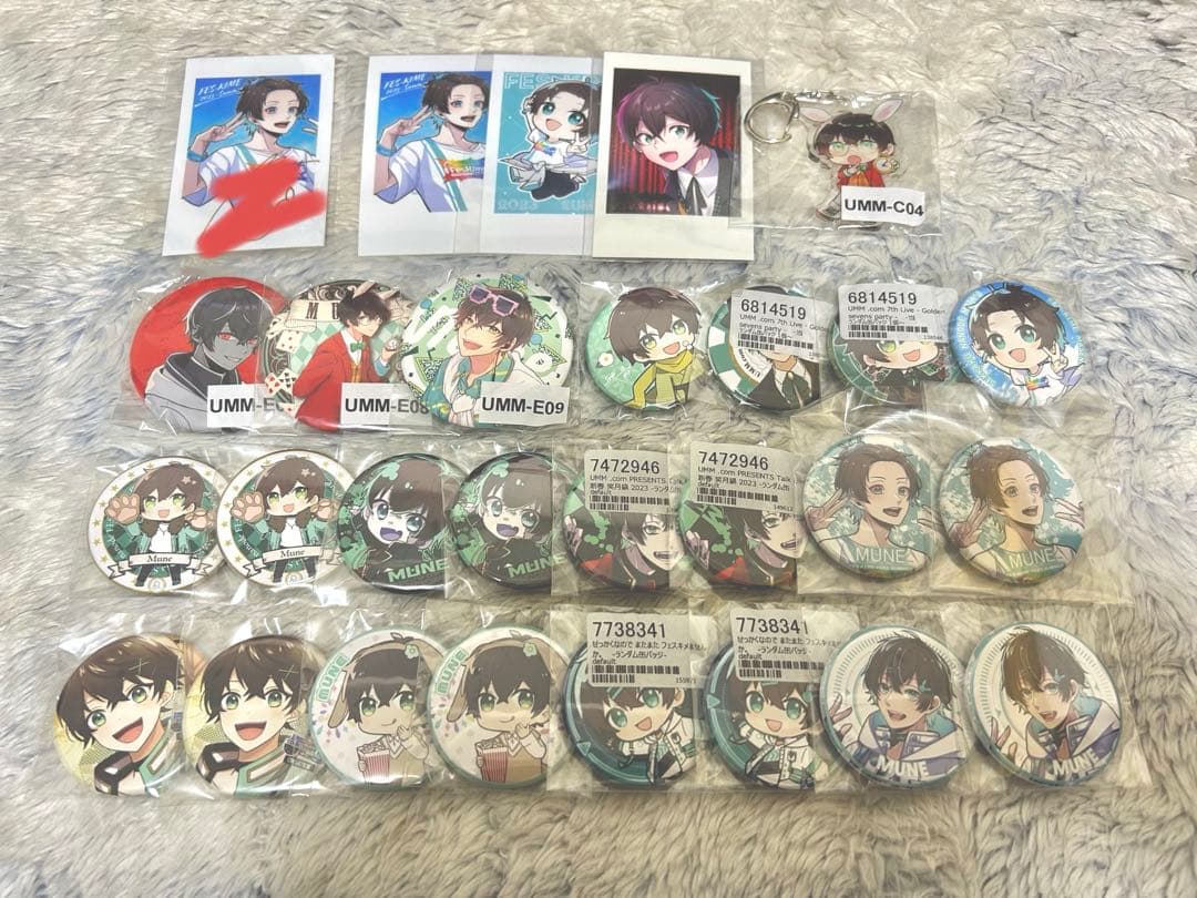 フェスキメ 缶バッジ アクキー チェキ まとめ売り