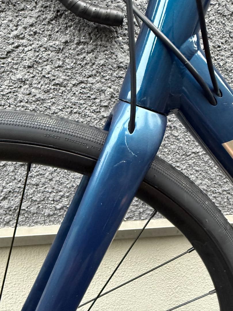 自転車本体 TREK Domane AL2 Disc 56