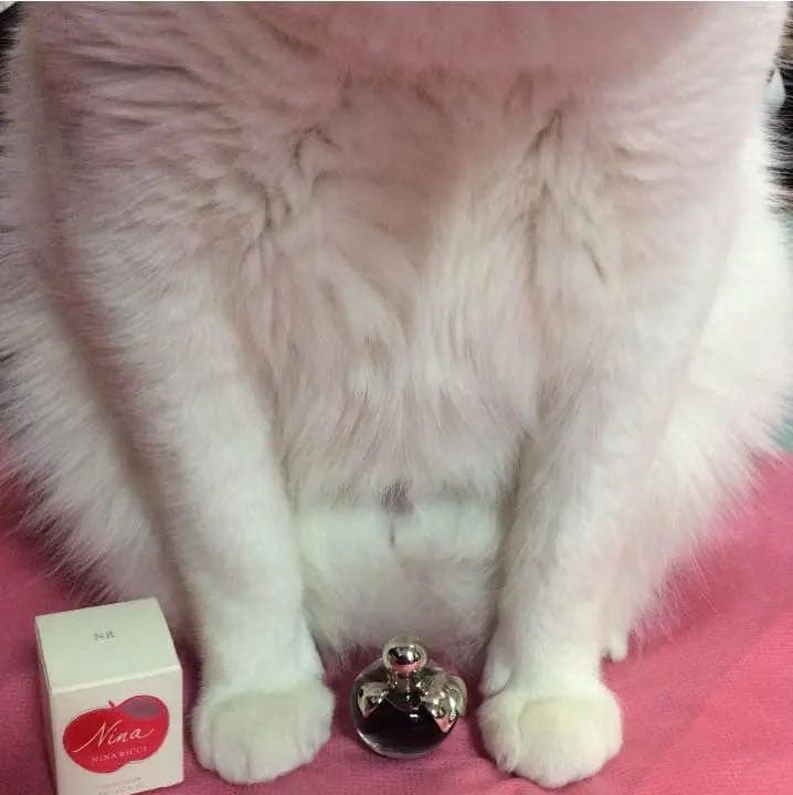 【お取り置き品】ニナリッチ ニナ ４ml