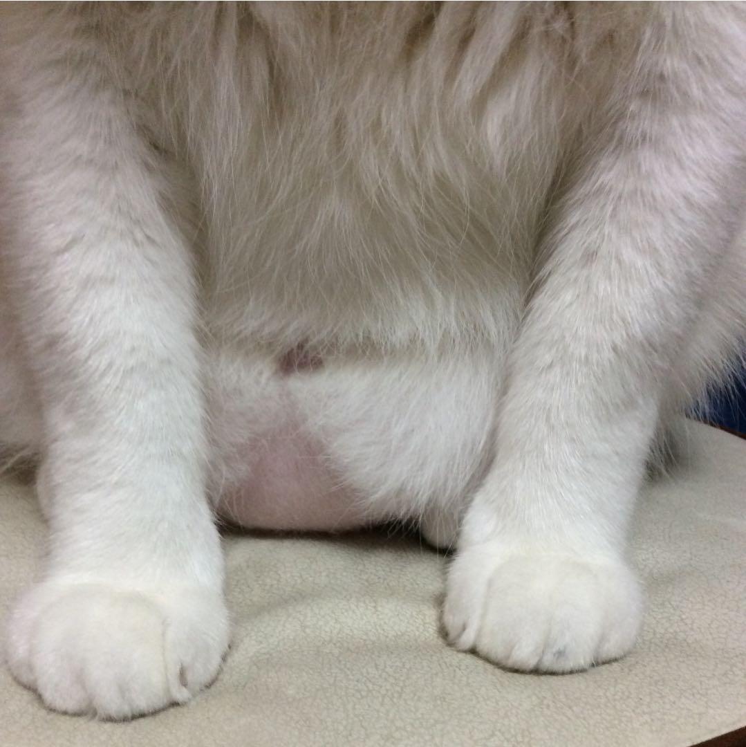 【お取り置き品】ニナリッチ ニナ ４ml