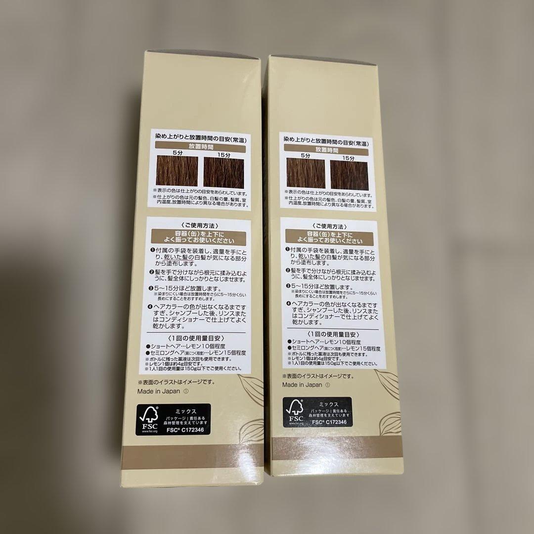 ヘアボーテ エクラ ボタニカル エアカラーフォーム ライトブラウン