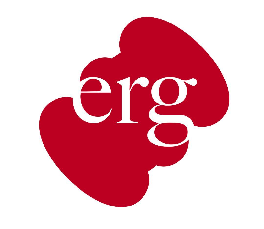 erg（エルグ）シナプスネックレスSPACY（グランブルー）４９ｃｍ