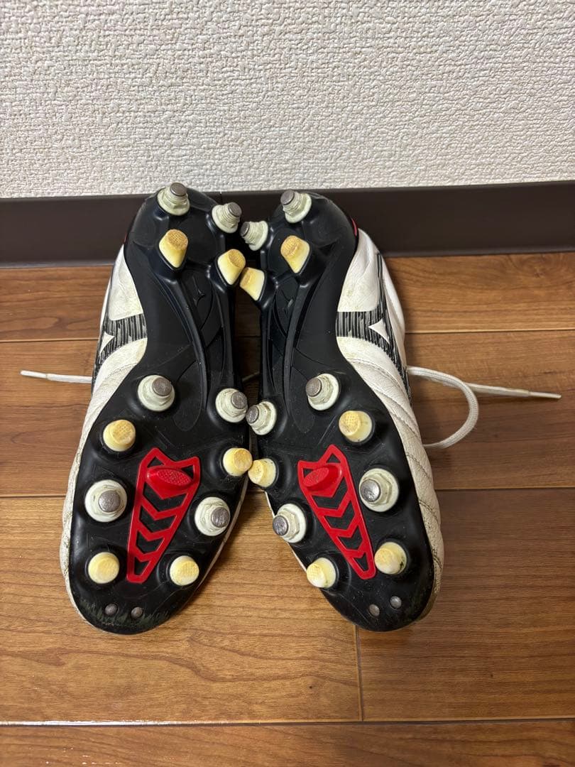 モレリアネオ4 mix 25.5