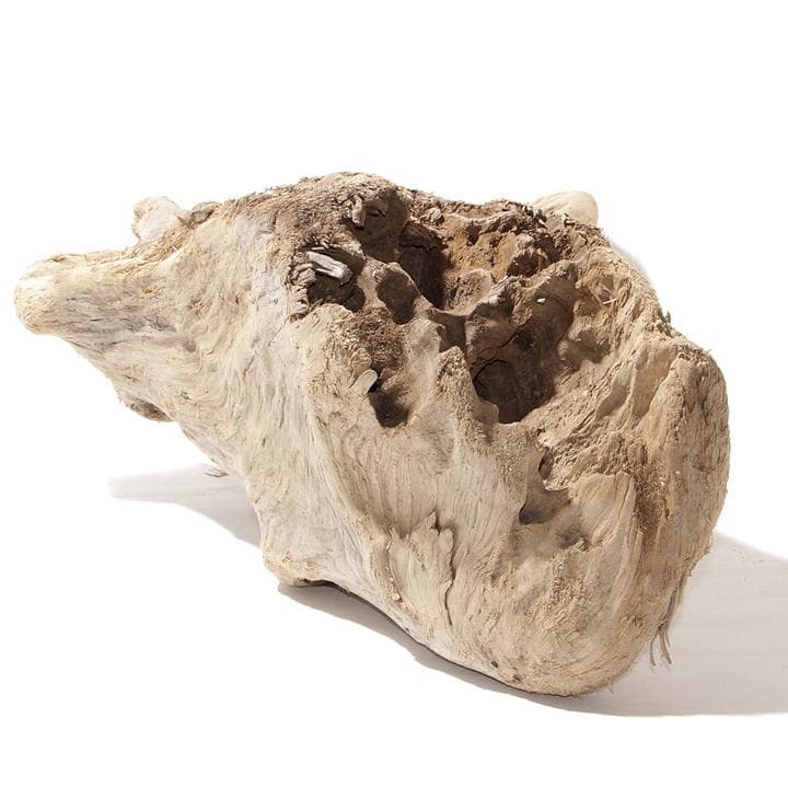 流木 インテリア レイアウト 61cm DIY アクアリウム 天然 rybk17