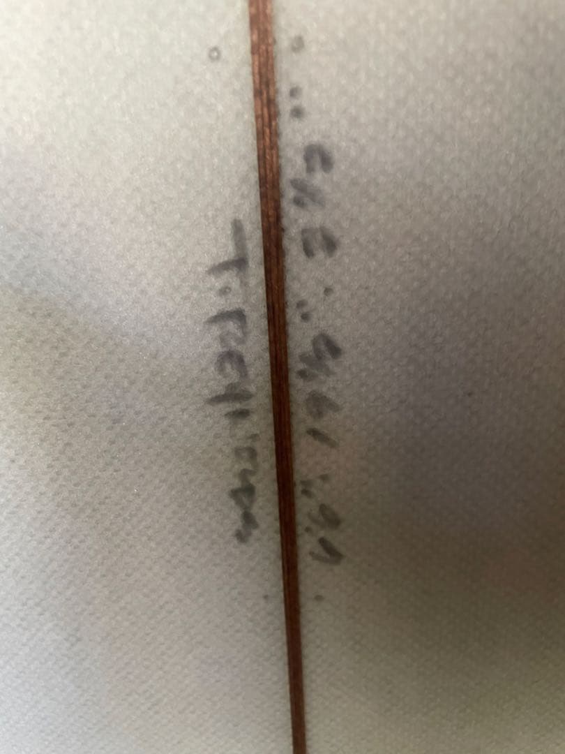 Travis Reynolds Tunnel Vision 6’6