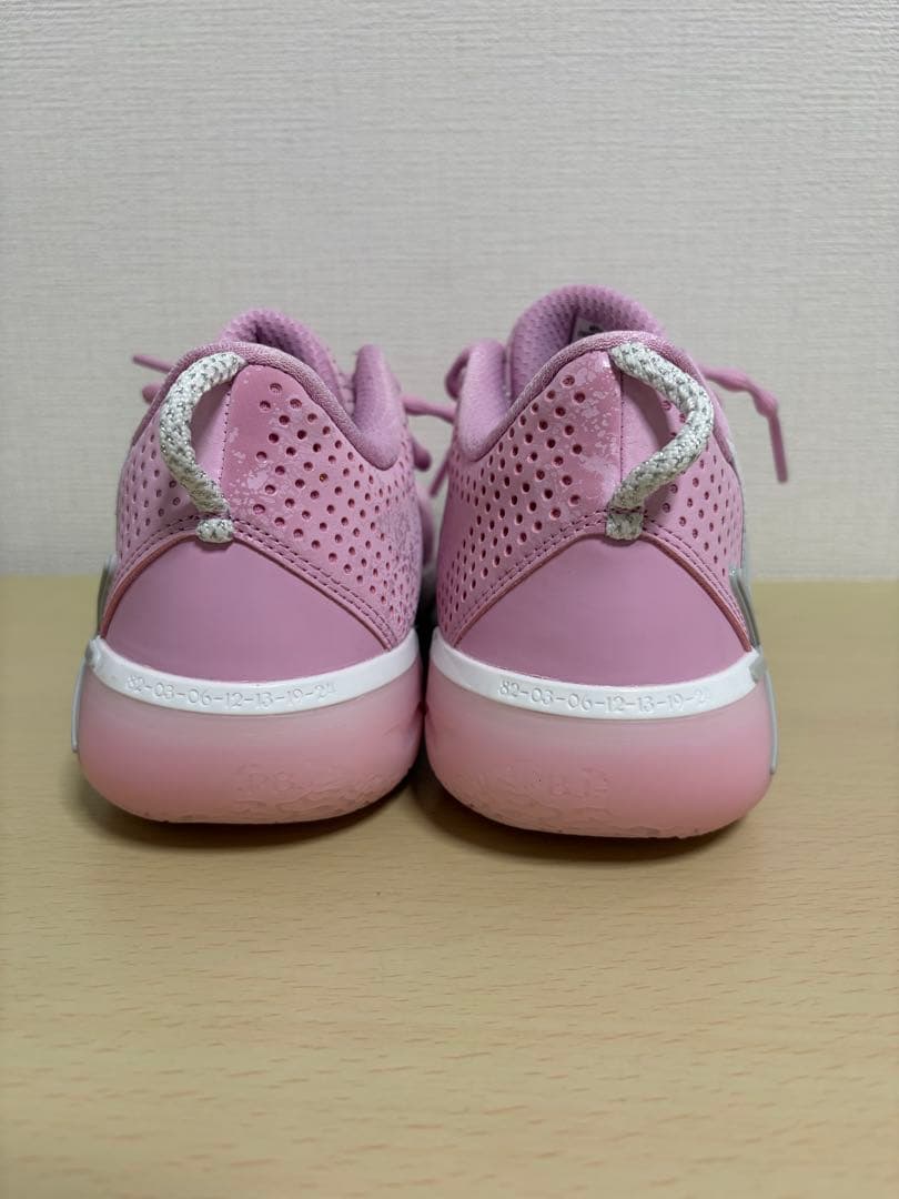 LI-NING ピンク バッシュ 25.0cm 美品