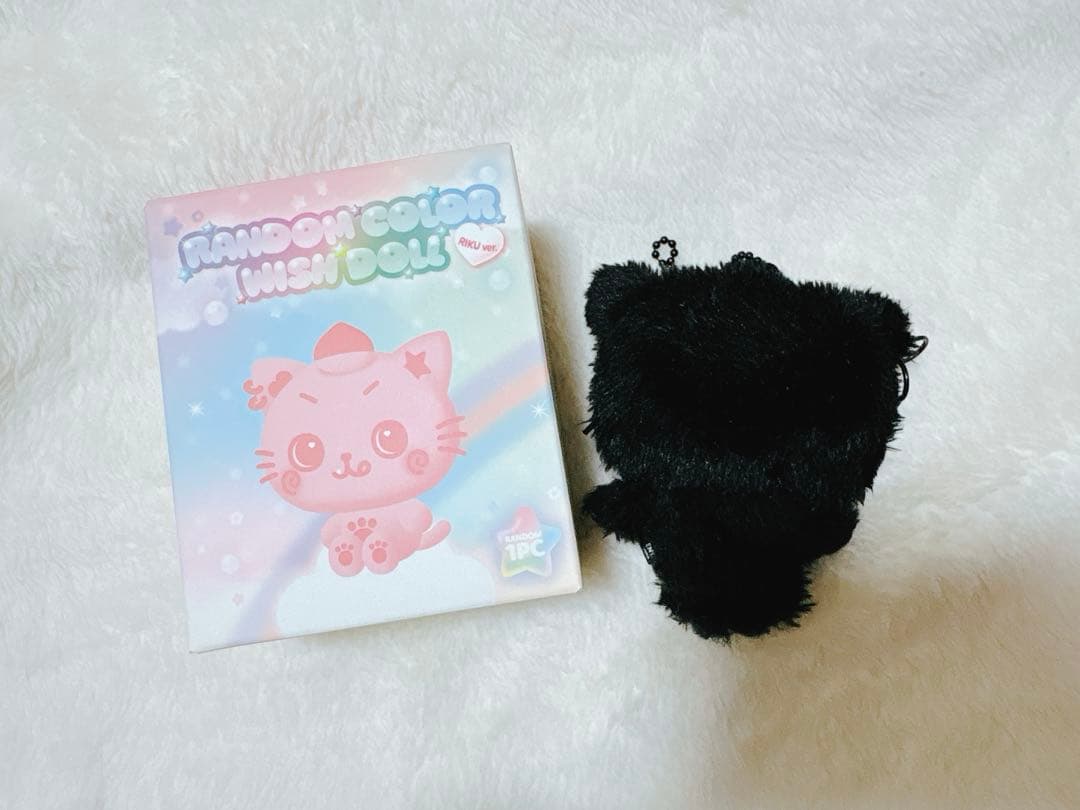 NCTWISH COLOR WISH DOLL リク クリ シークレット 黒