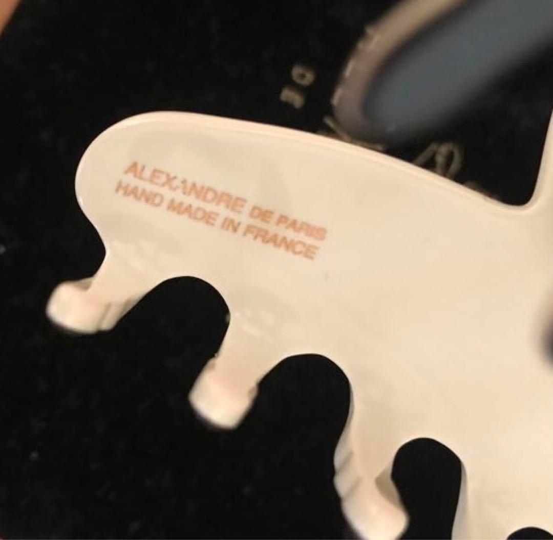 お問い合わせの方専用　ALEXANDRE DE PARIS Mサイズヘアクリップ
