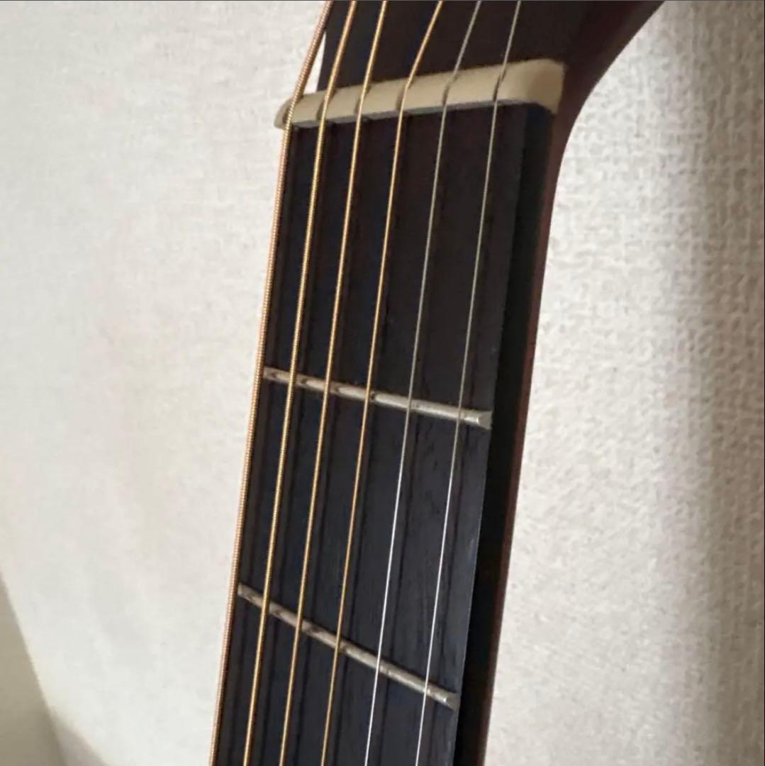 【きゃの】Stafford エレアコ