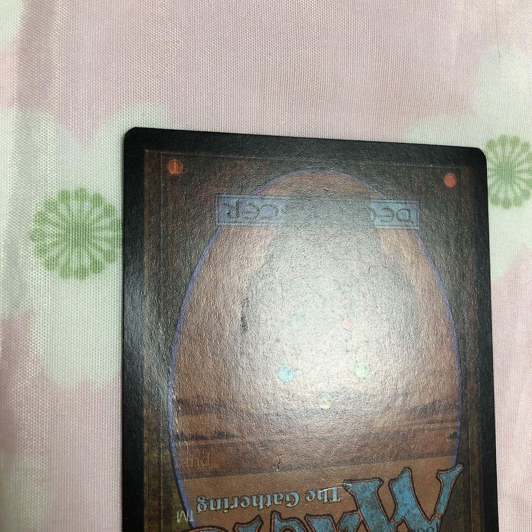 mtg エラーカード 島