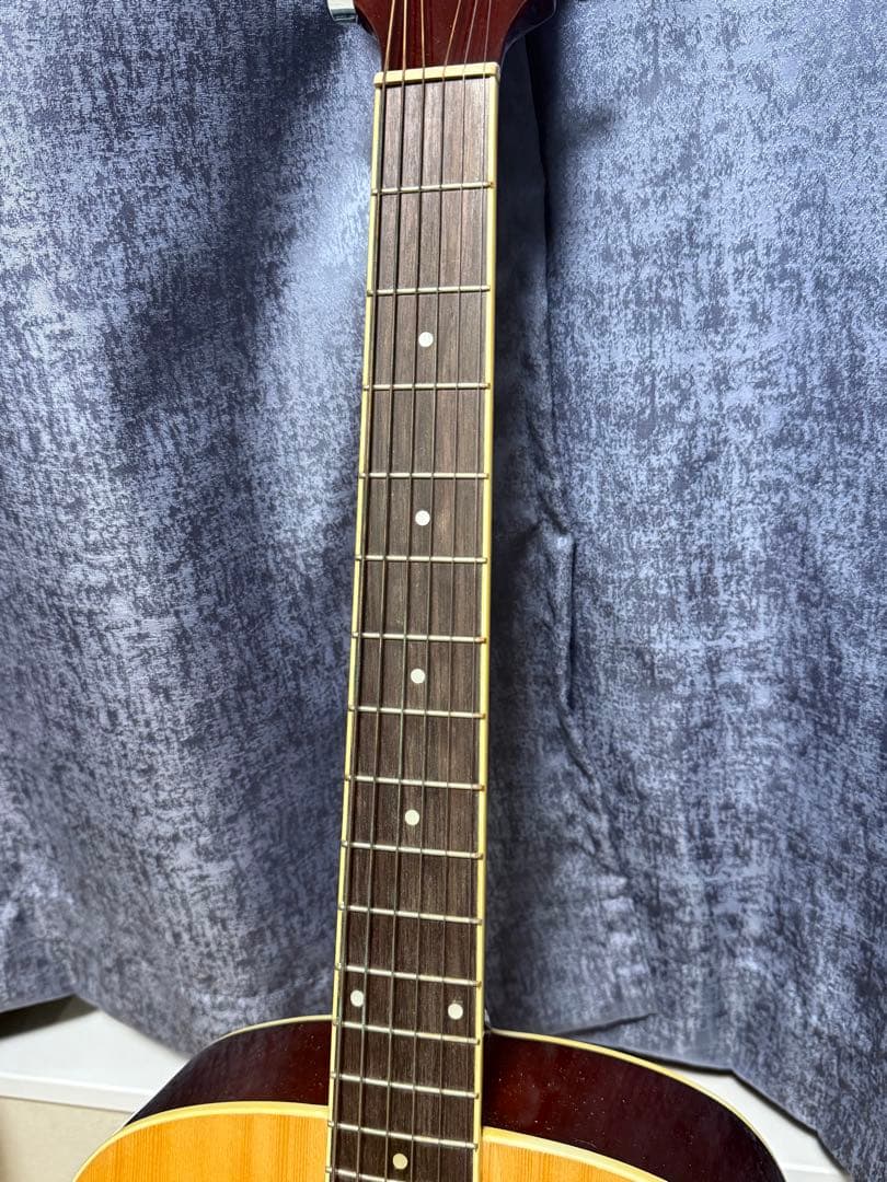 legend by aria レジェンド アコースティックギター FG-15N