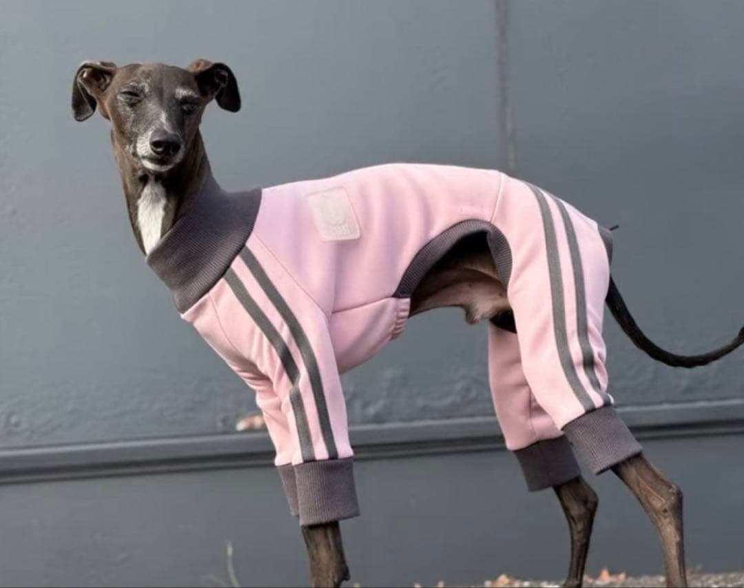 USHHジッパー付きのピンクジャージロンパース　XS