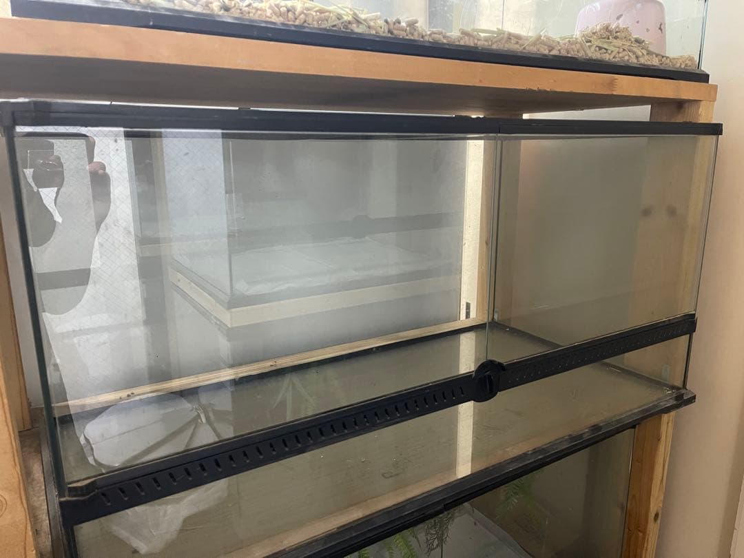 【新宿区　引取限定】レインフォレストタンク XL