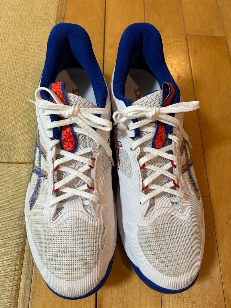 NETBURNER BALLISTIC FF 4 バレーボールシューズ　28.0