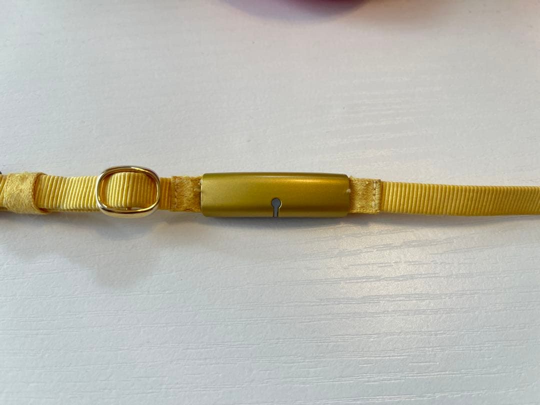 catlog2 catlog と首輪