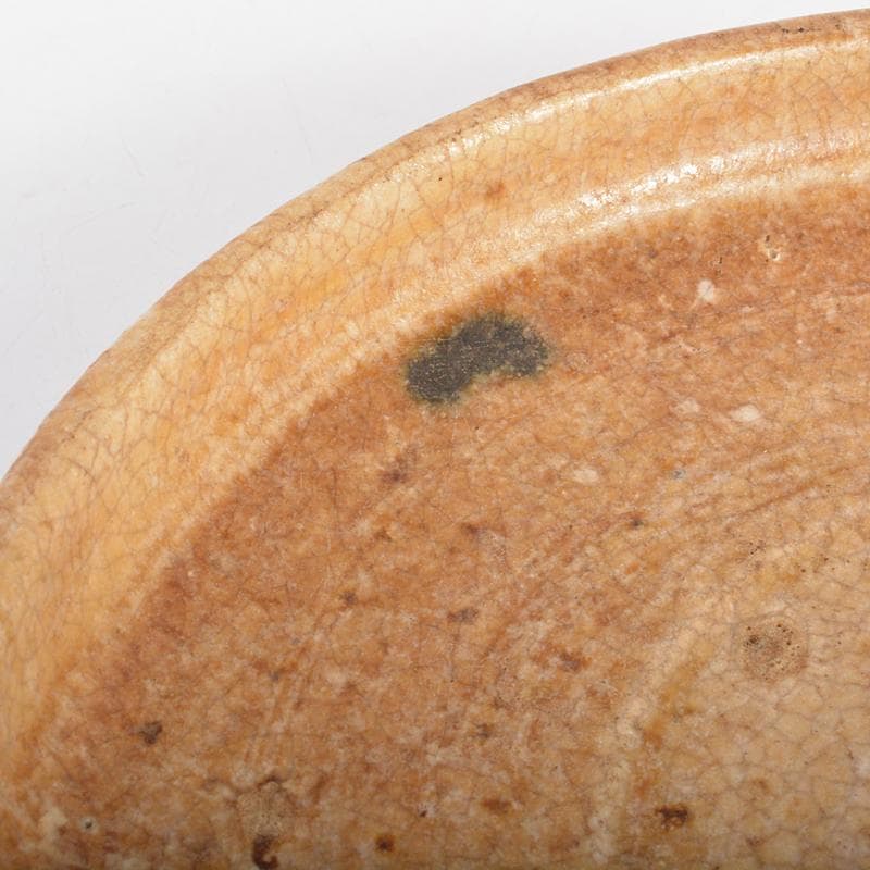 人間国宝　荒川豊蔵作　黄瀬戸　菊紋皿　共布　鵬雲斎極め箱　M　R6945