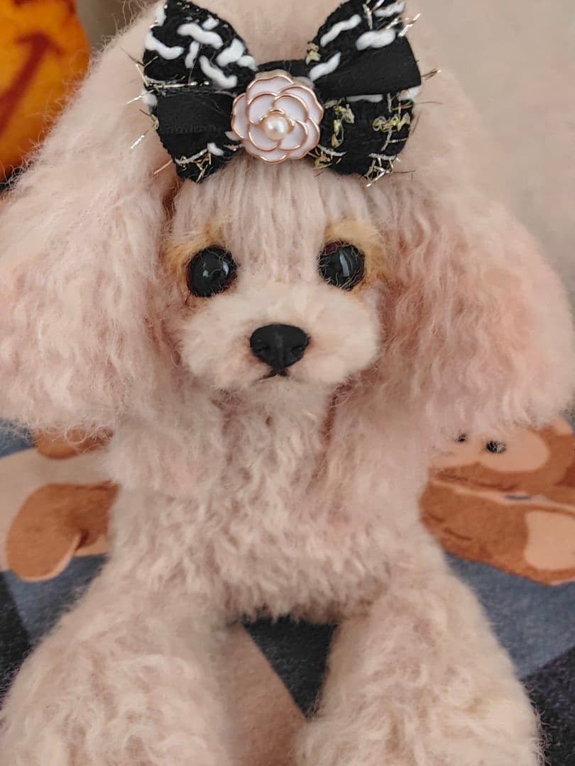 里親様募集♡送料込み。アプリコットちゃん。トップノット。