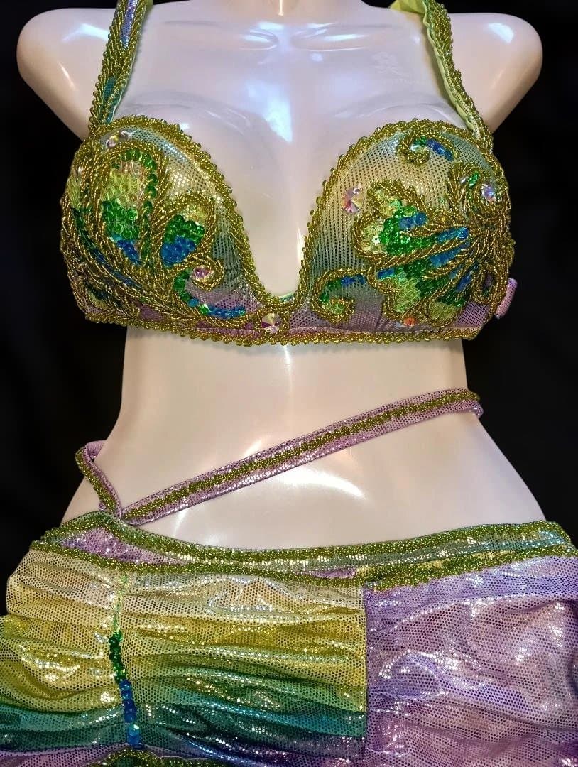 【新品Sale】人気デザイナーズベリーダンス衣装《孔雀》