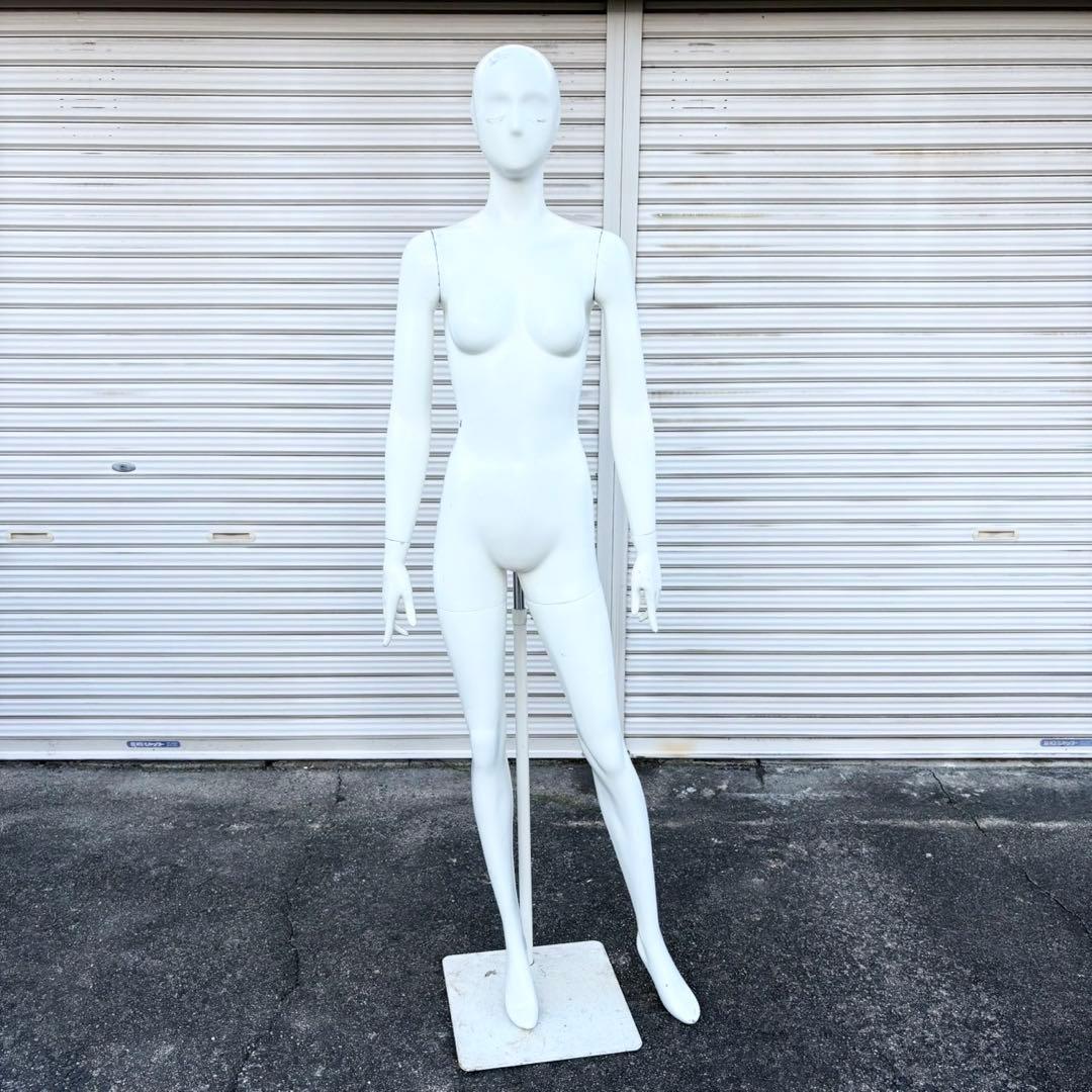 パールイデア パール マネキン 全身 トルソー レディース