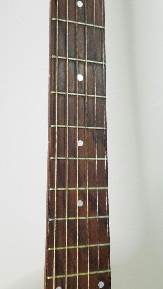 Seagull エレアコ ギター ハードケース入り