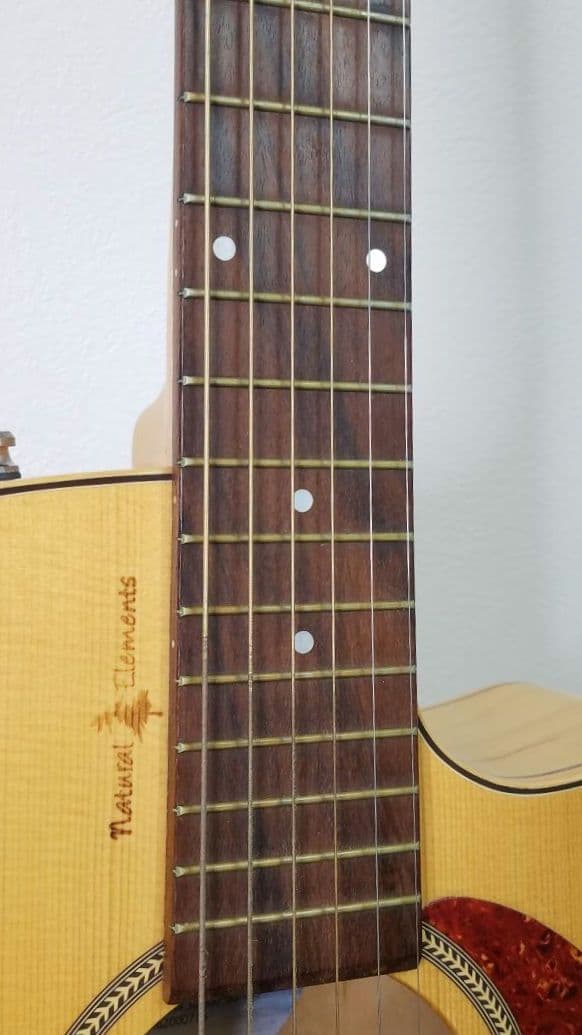 Seagull エレアコ ギター ハードケース入り