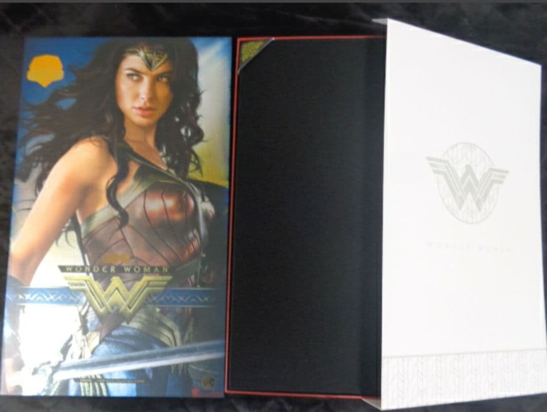 ワンダーウーマン ホットトイズ ワーナー・ブラザーズ100周年1/6フィギュア