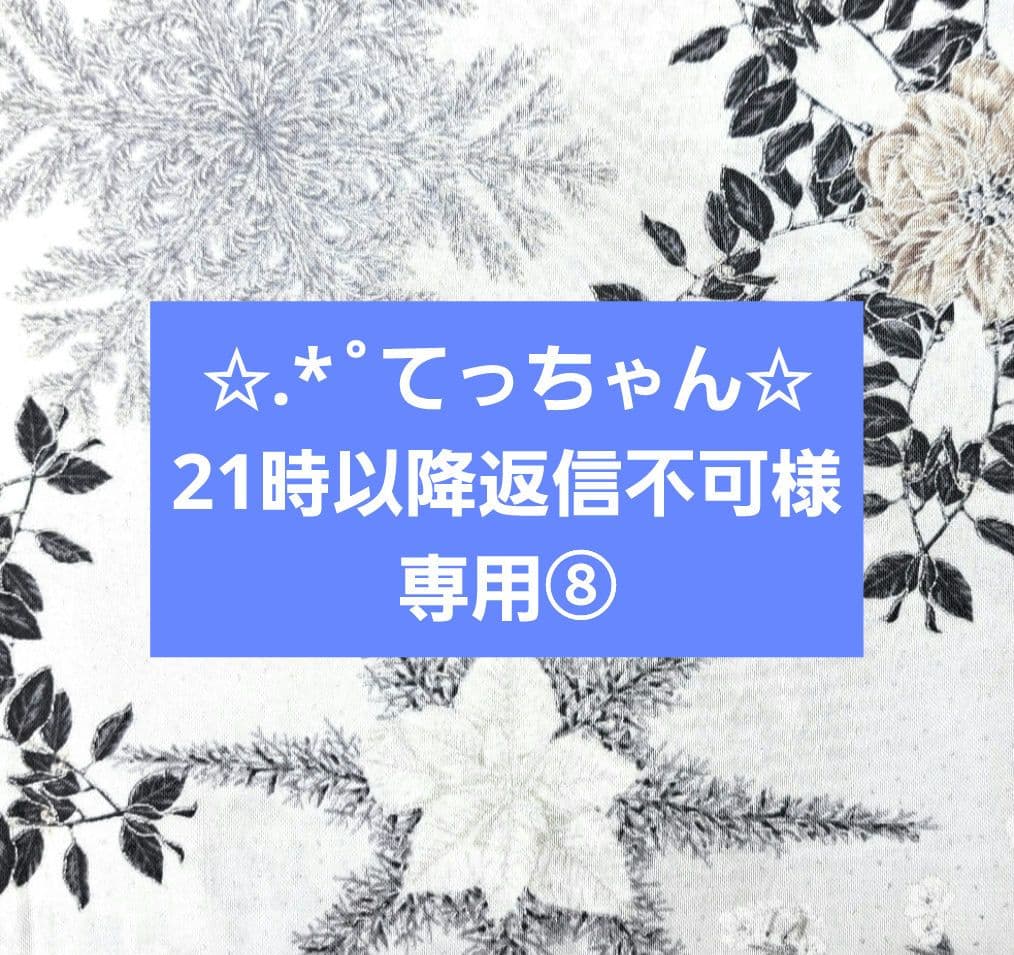✩.*˚てっちゃん✩21時以降返信不可 ブックカバー