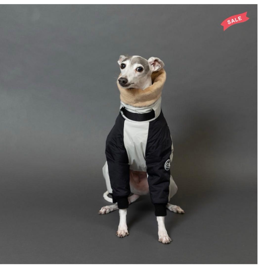 イタグレPippino ボンバーヒートジャケット ライトグレー×ブラック美品 M