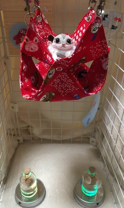 モモンガハウス(お祭り柄) 夏仕様   涼しい夏生地を使用❗️   1550円