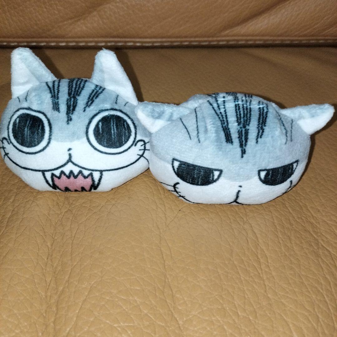 夜は猫といっしょ キュルガ お手玉