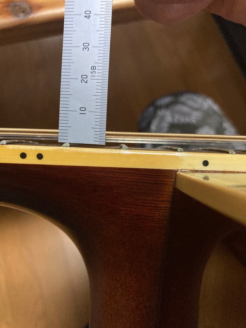 Morris アコースティックギター ジャパンヴィンテージハードケース付