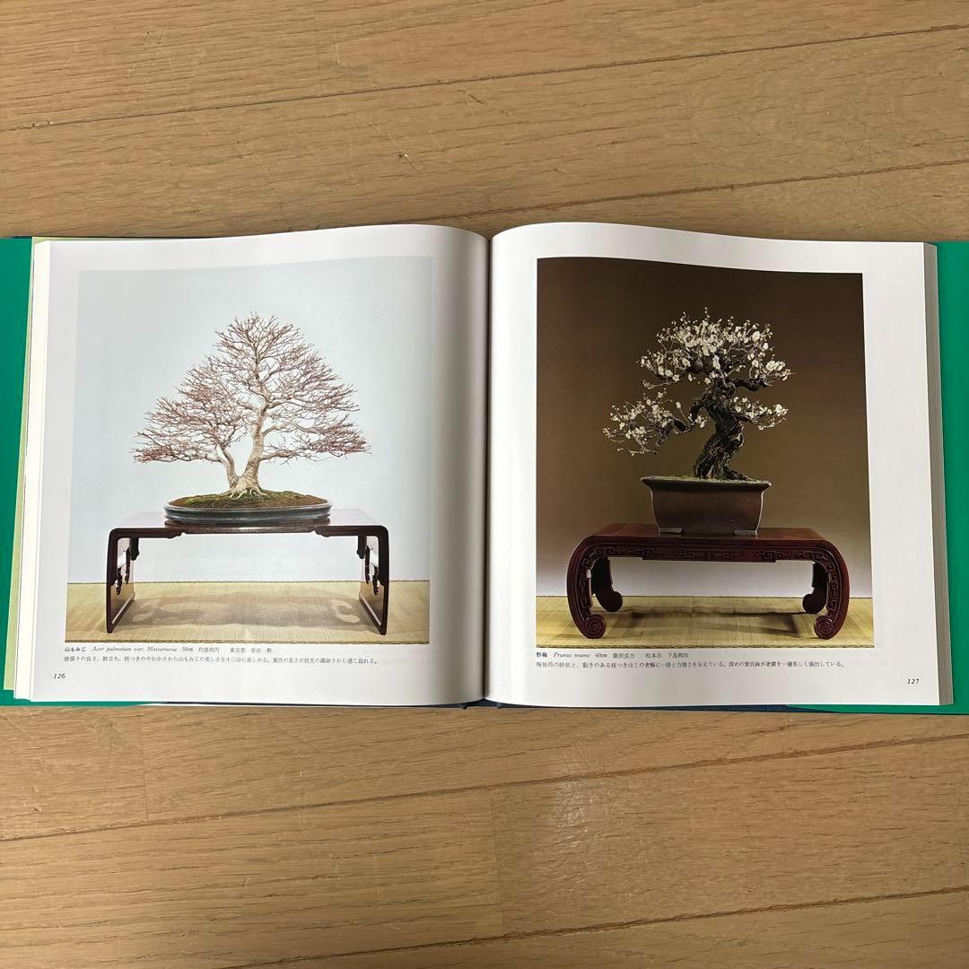 国風盆栽展 第58回〜第75回 (第74回は中抜け) 計17冊