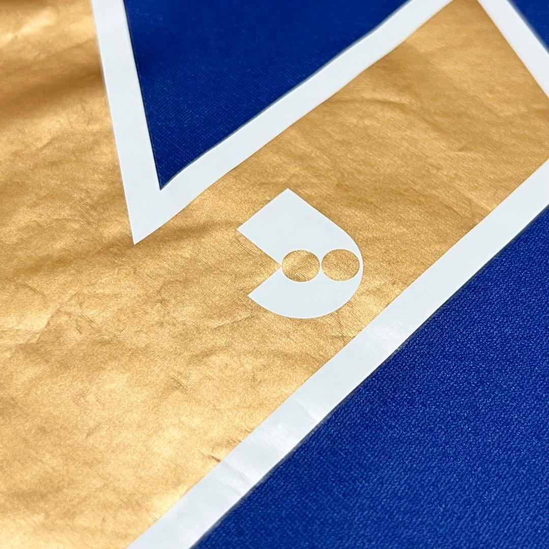 水戸ホーリーホック　クラファン限定ユニフォーム　【XLサイズ】　背番号12