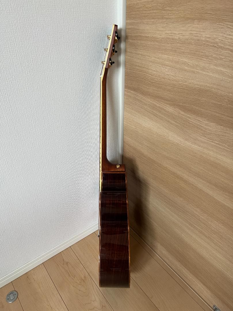 ギター YAMAHA FJX905SC