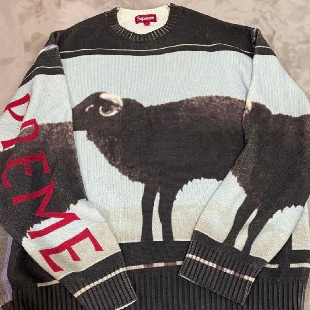 Supreme Damien Hirst sweater サイズ L
