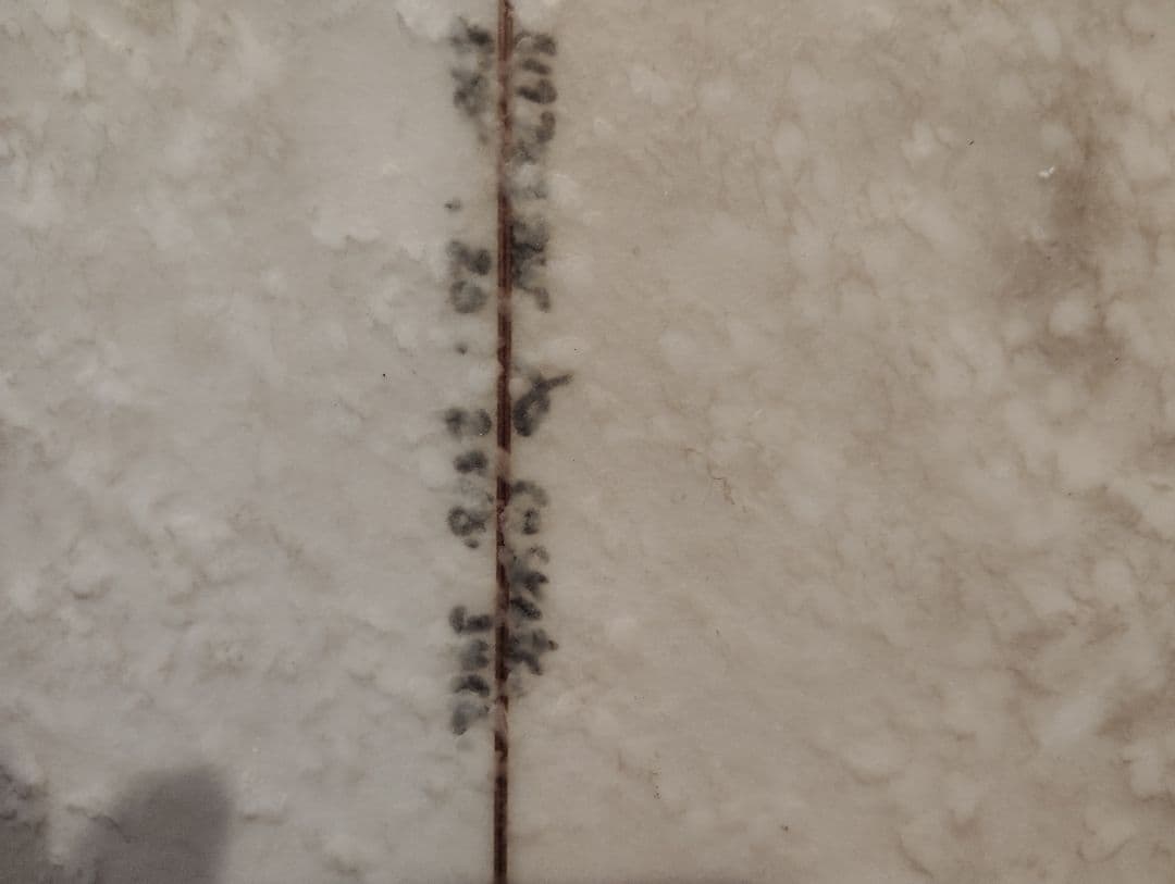 アルメリック　GSKATE　ジースケート　フィン付